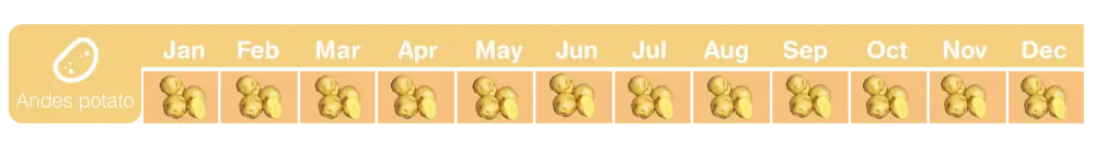 Andes Potatoes season chart