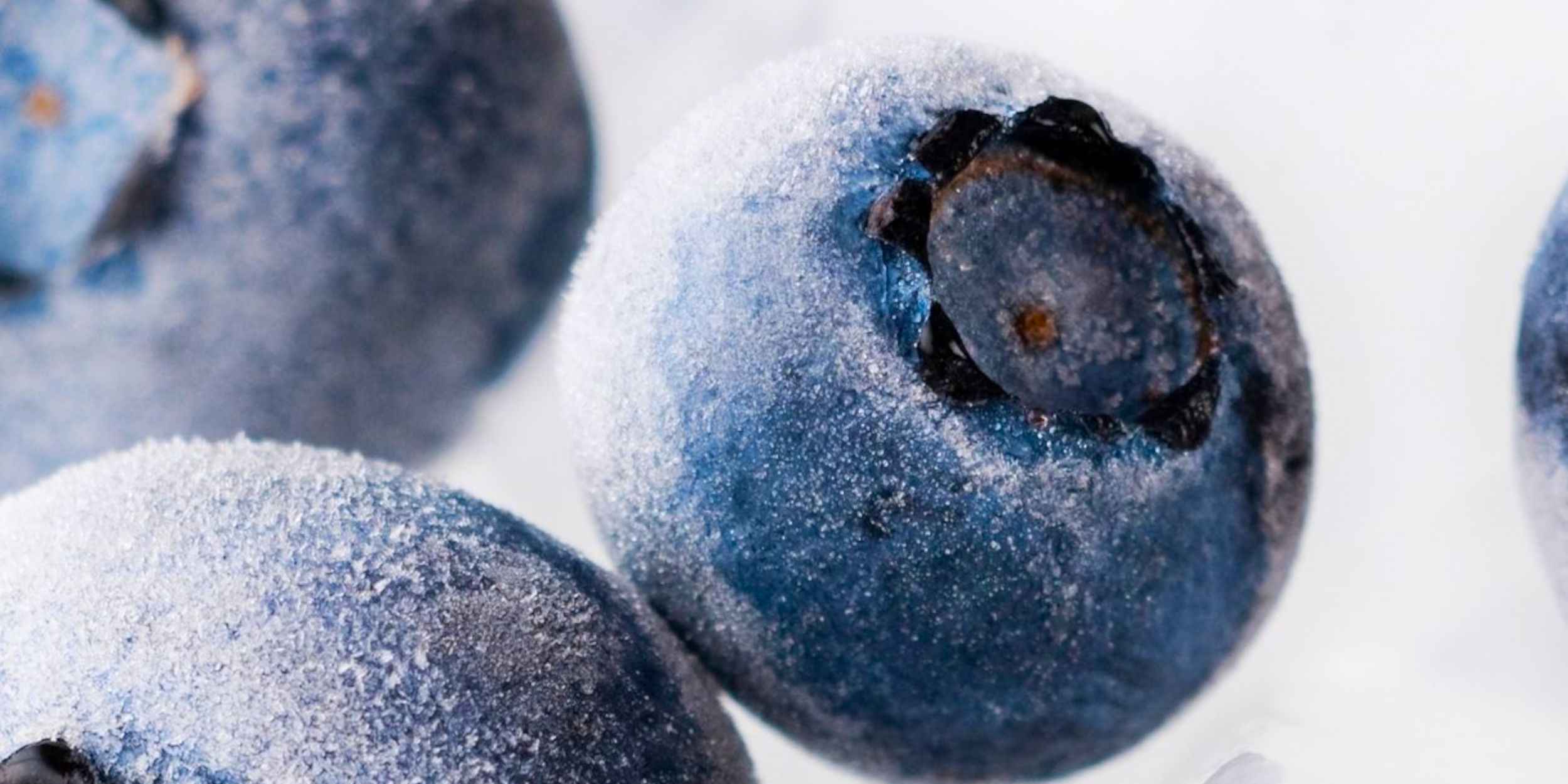 Banner frozen blueberries 2500x1250 2