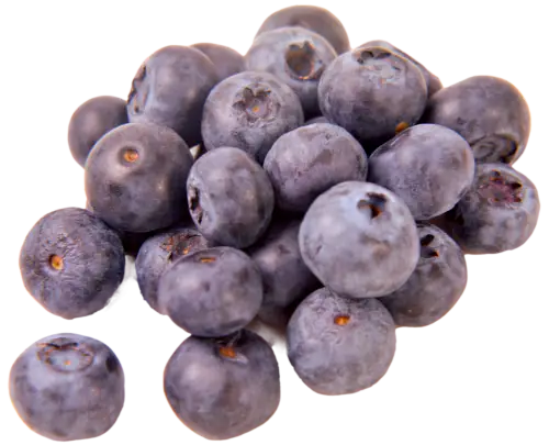 IQF Fruit Blueberry
