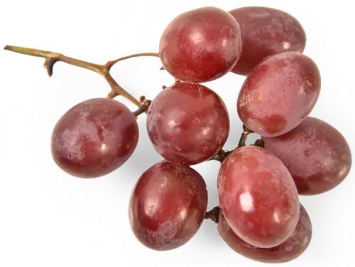 IQF Fruit - Crimson Grape