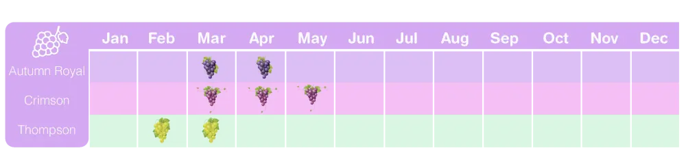 IQF Fruit - Grape Season Chart