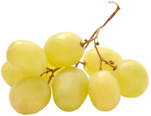 IQF Fruit - Thompson Grape