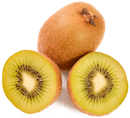IQF Fruit - Green Kiwi