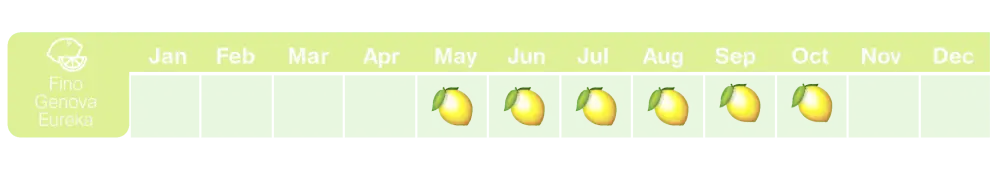 IQF fruit - Lemon Season Chart
