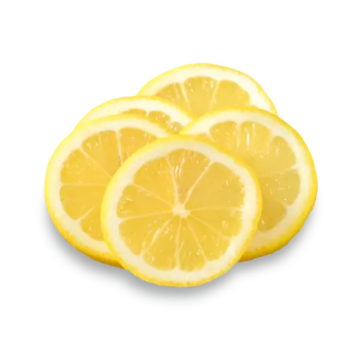 Naturandina - IQF fruit - Lemon Slices
