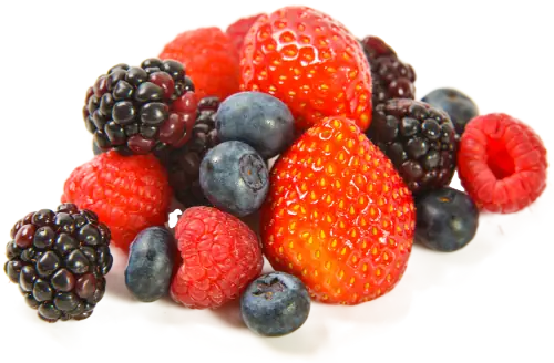 Naturandina - IQF Fruit - Mixed Berries