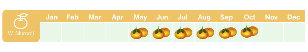 IQF fruit - Tangerine Season Chart
