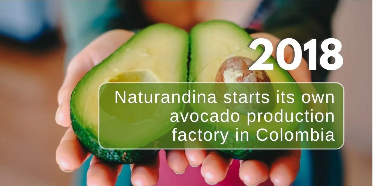 in 2018 Naturandina starts its own avocado production factory in Colombia